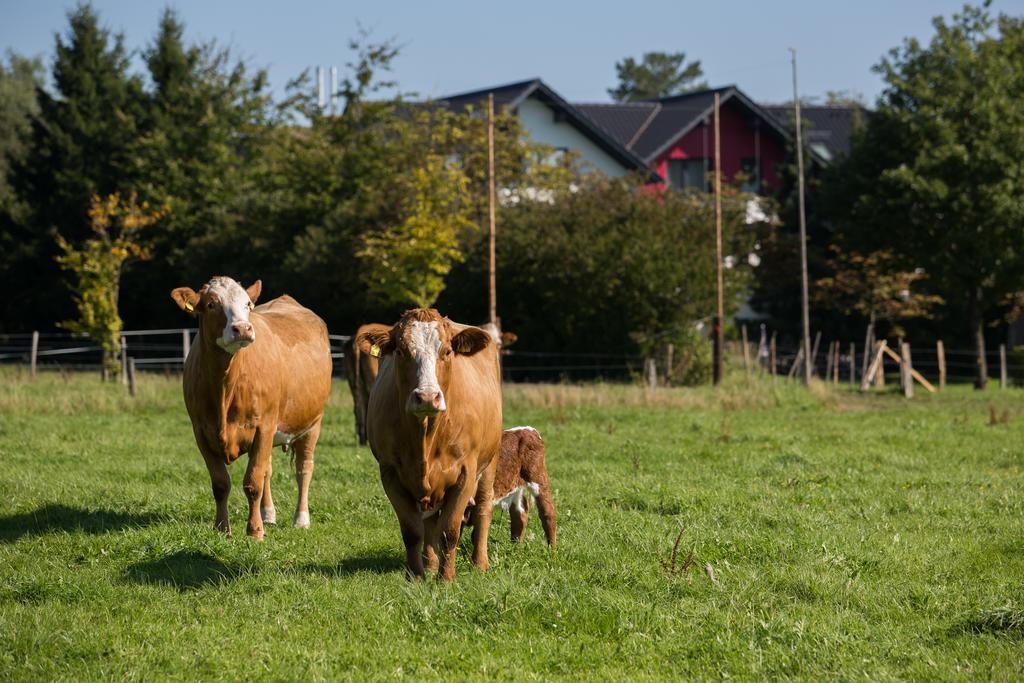 Landgasthof Gut Marienbildchen Roetgen Exterior foto